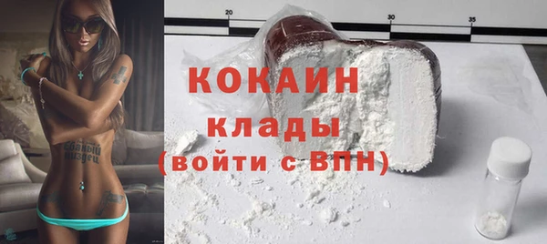стаф Арсеньев