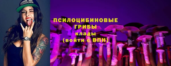 стаф Арсеньев