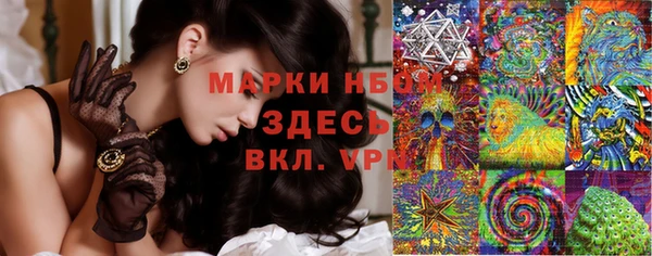 стаф Арсеньев