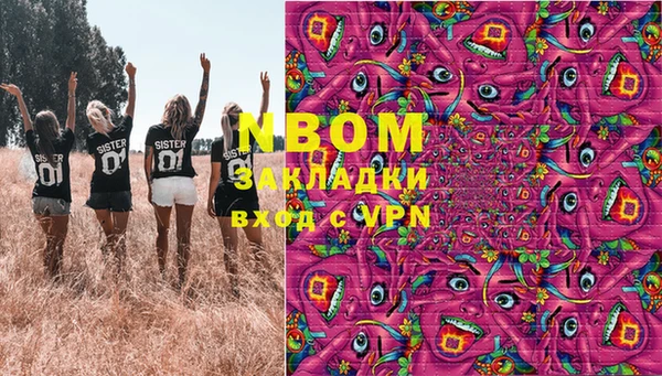 стаф Арсеньев