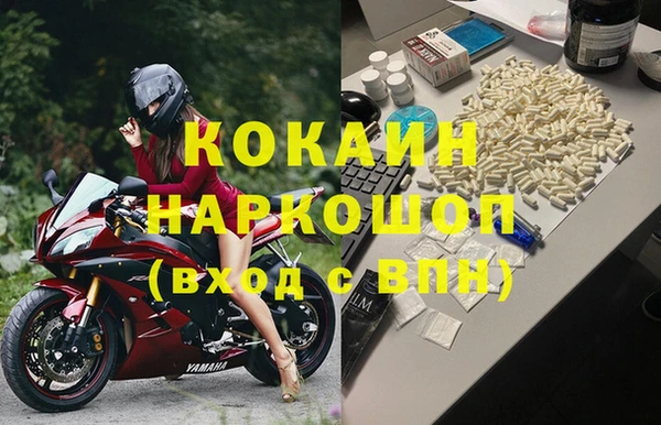 стаф Арсеньев